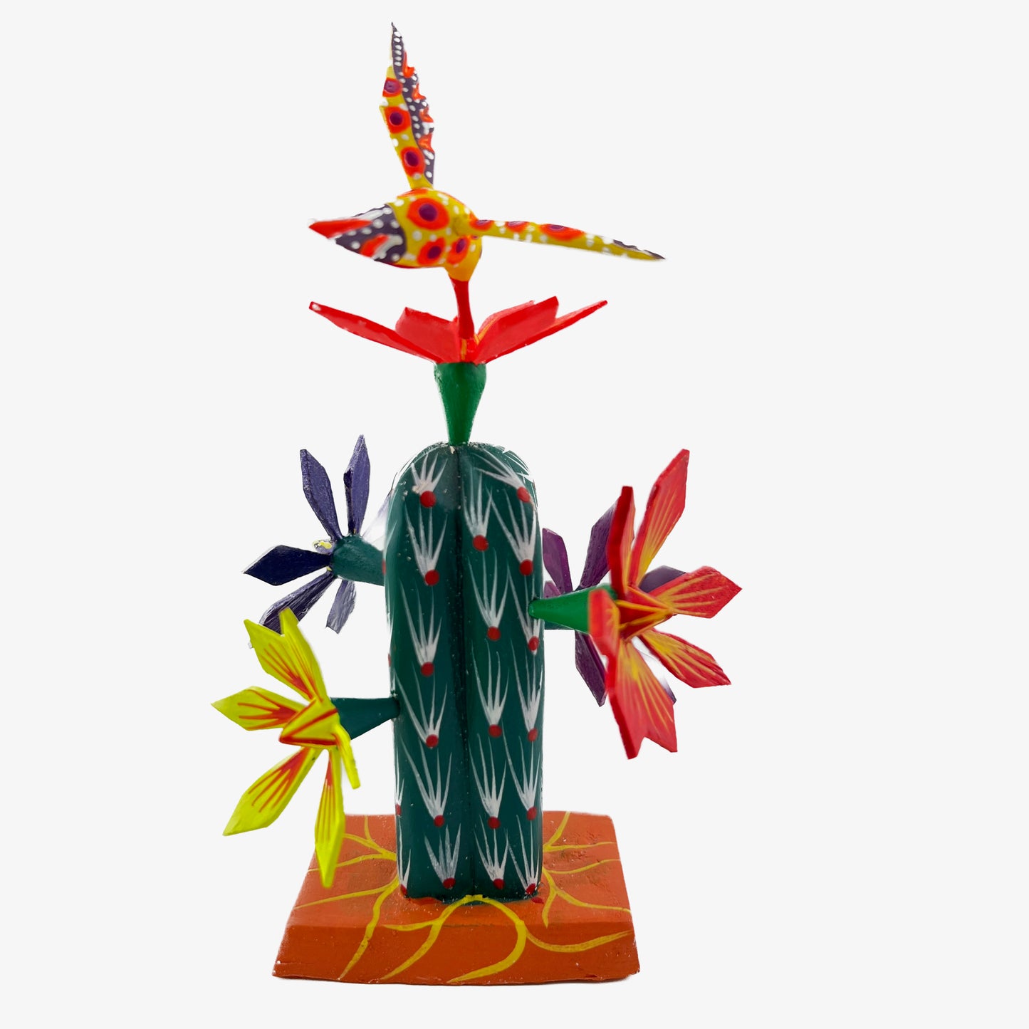 Cactus Chico 13