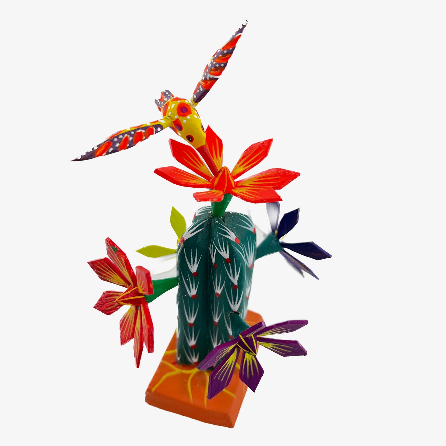Cactus Chico 13