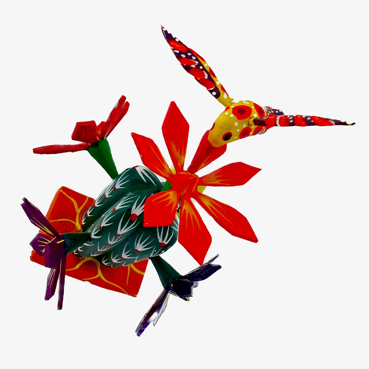 Cactus Chico 13