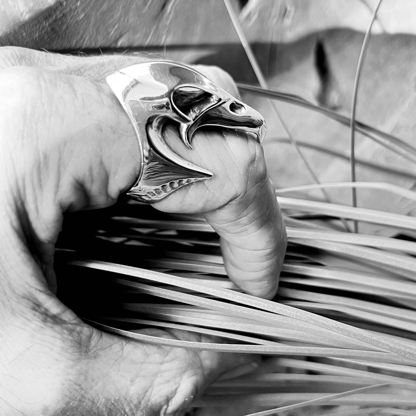 Size 12 Silver Ring with Falcon
