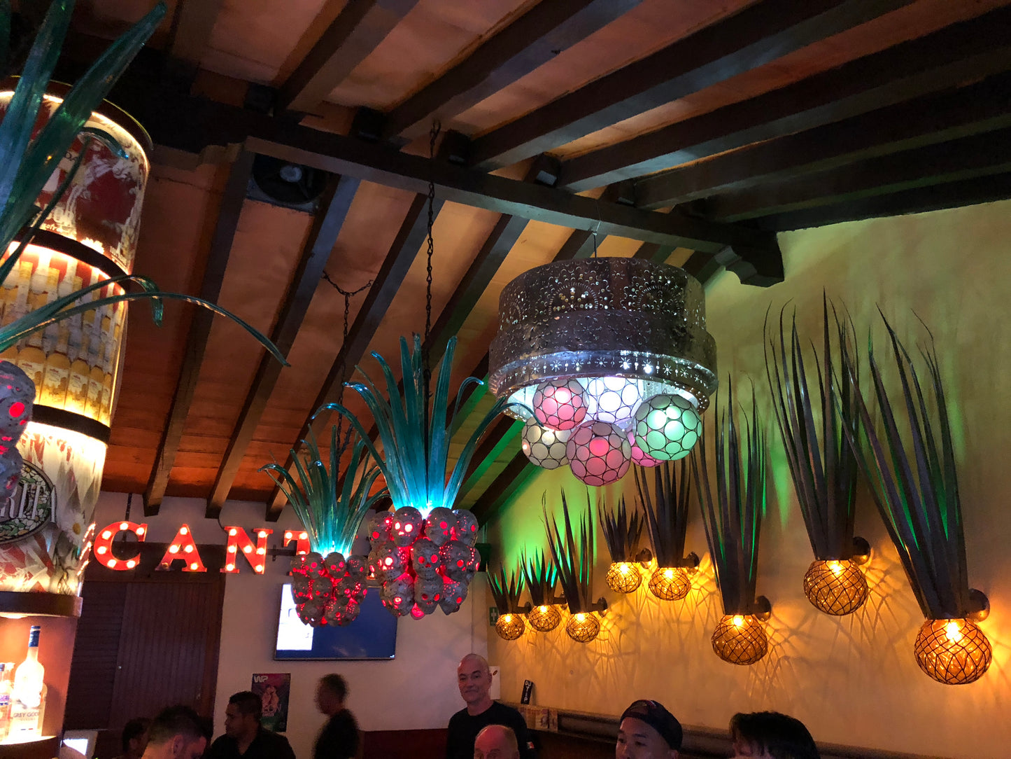 Sugar Skull Agave Chandelier MD