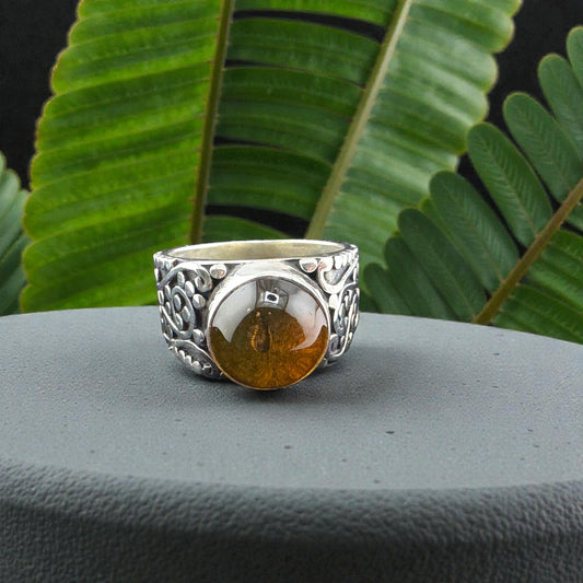 Ambar Insecto Redonda