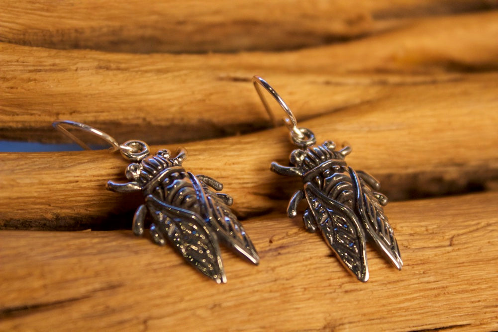 No Mas! 925 Solid Silver Earrings